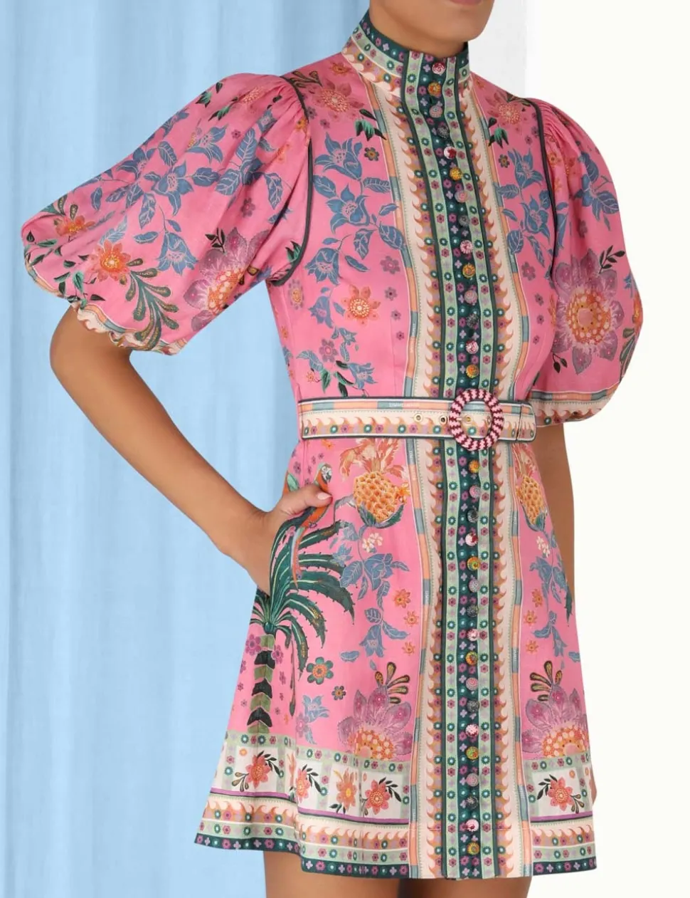 Ginger Buttoned Mini Dress