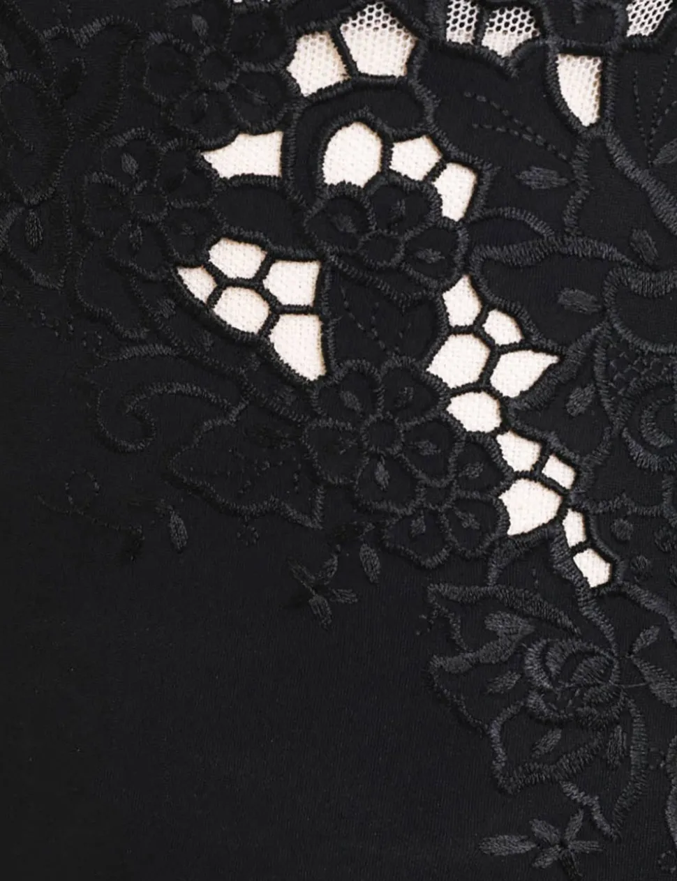 Ginger Embroidered Bikini