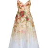 Luminosity Picnic Dress