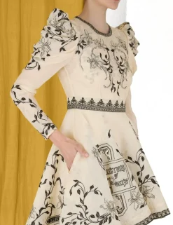 Lyrical Embroidery Mini Dress