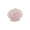 Shell Clasp
