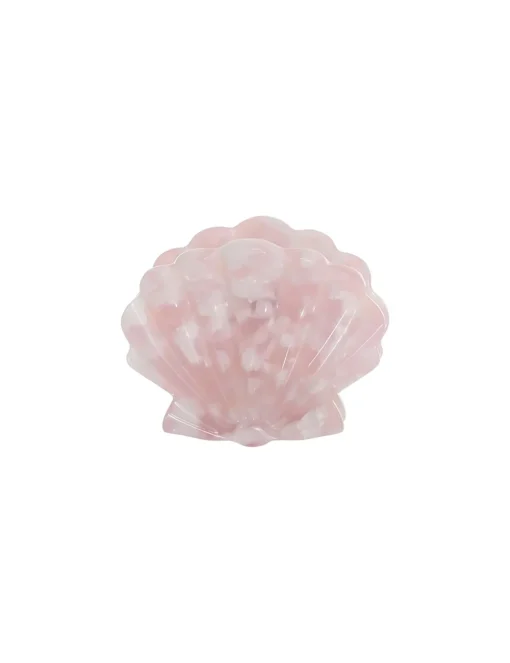 Shell Clasp