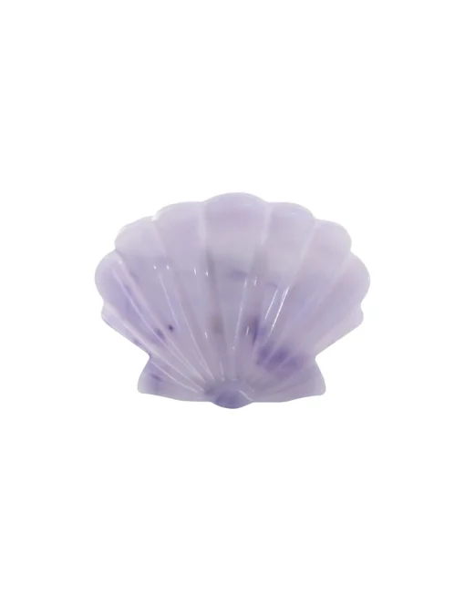Shell Clasp