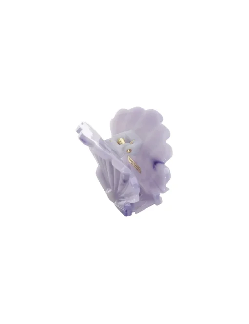 Shell Clasp