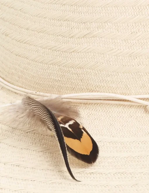 Stripe Fedora