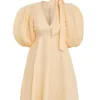 Tie Neck Mini Dress