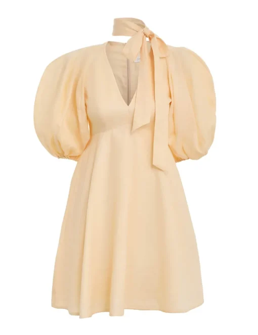 Tie Neck Mini Dress