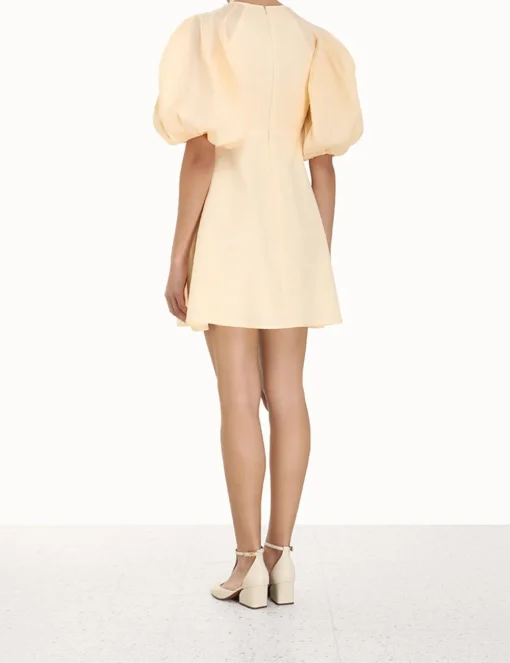 Tie Neck Mini Dress