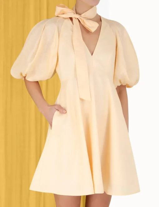 Tie Neck Mini Dress